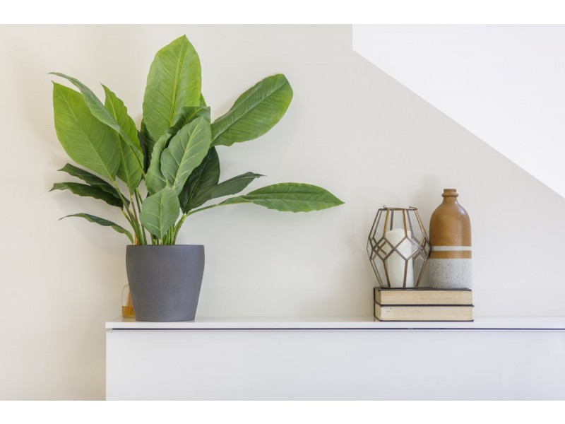 10 Chance Street, Crace ACT 2911