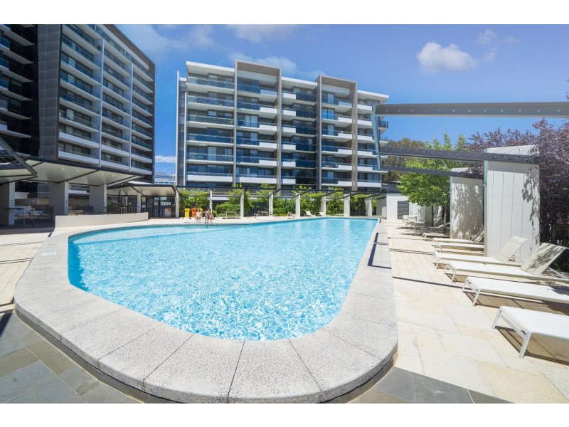 1/7 Irving Street, Phillip ACT 2606