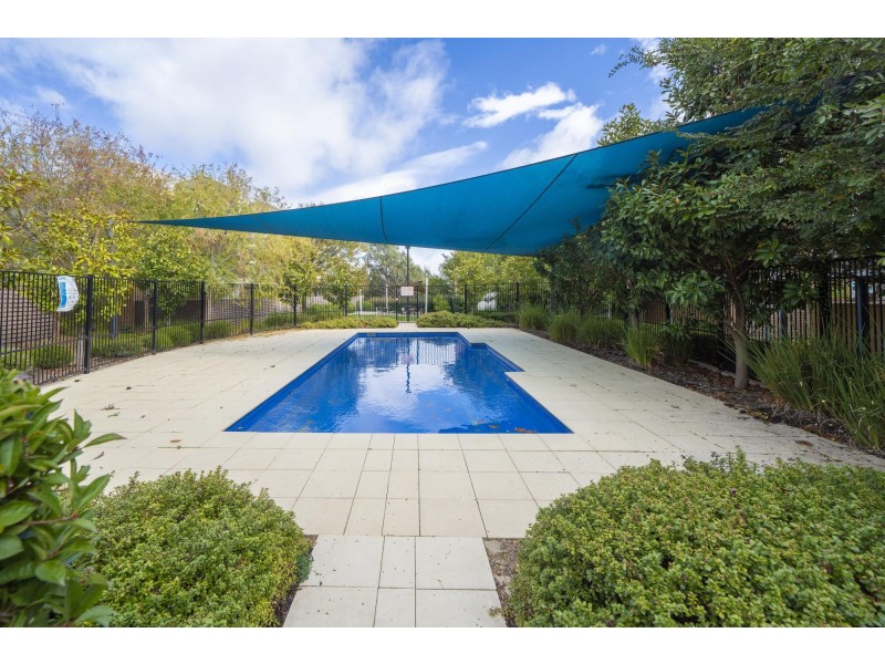 36/116 Easty Street, Phillip ACT 2606