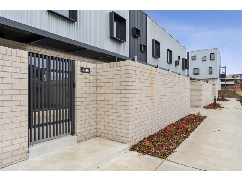 36/60 Kingsland Parade, Casey ACT 2913