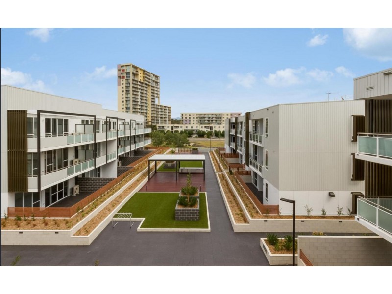 41/1 Surprize Place, Phillip ACT 2606