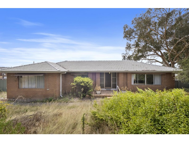 53 Springvale Drive, Belconnen ACT 2617