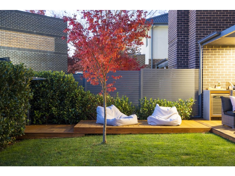 3/36 Blacket Street, Downer ACT 2602