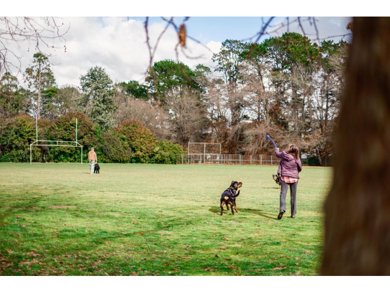 24/18 Bradfield Street, Downer ACT 2602