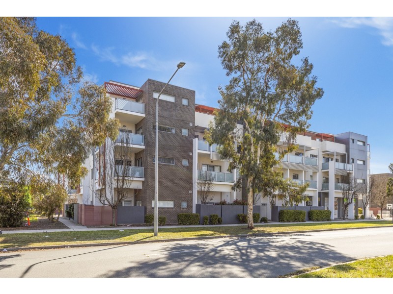 77/11 Wimmera Street, Harrison ACT 2914
