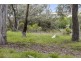 98/31 Thynne Street, Bruce ACT 2617