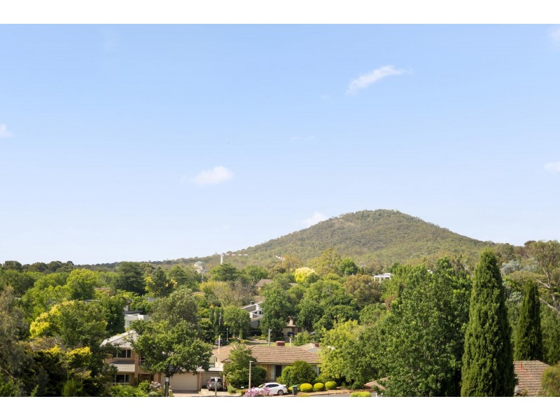 31/81 Constitution Avenue, Campbell ACT 2612