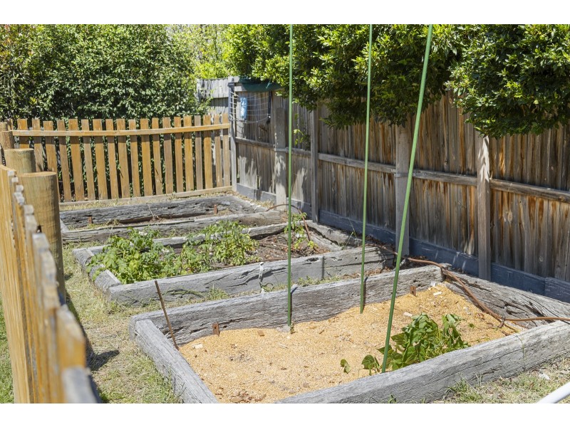 43 Batchelor Street, Torrens ACT 2607