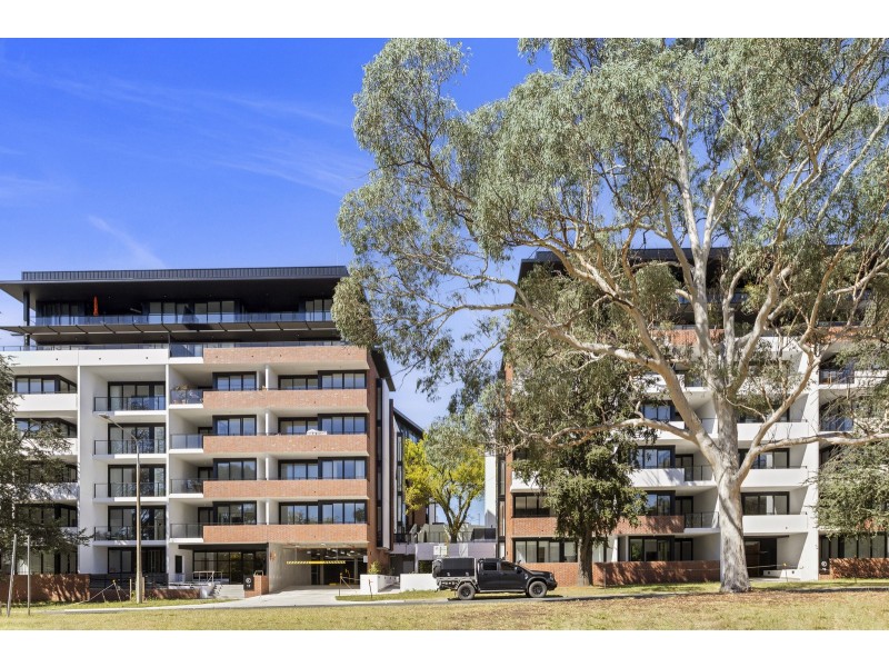 115/19 Captain Cook Crescent, Griffith ACT 2603