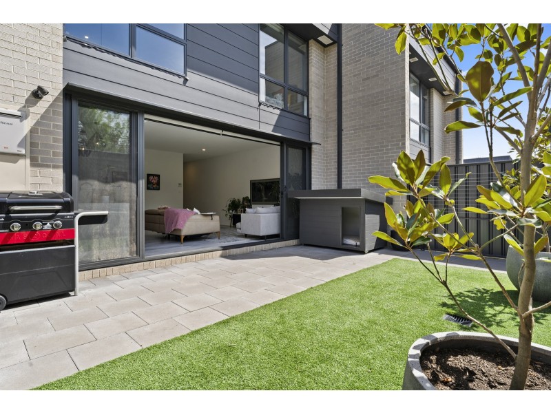 57 Ehrlich Circuit, Watson ACT 2602