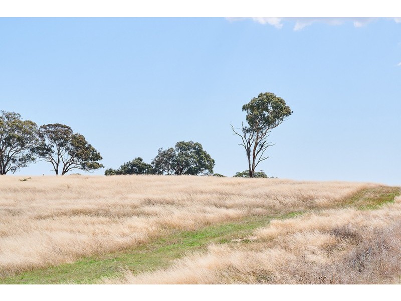 U6 Olea, Camilleri Way, Gungahlin ACT 2912