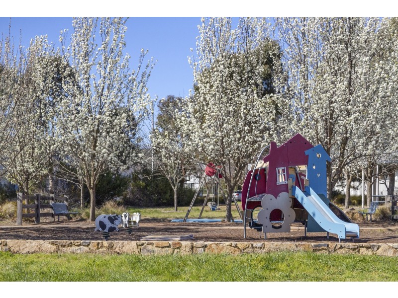 56/75 Elizabeth Jolley Crescent, Franklin ACT 2913