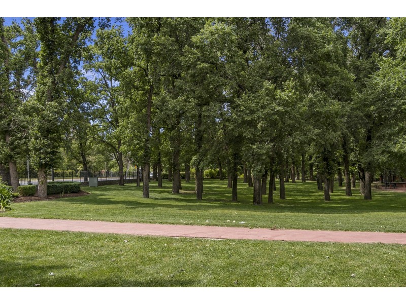 331/81 Cooyong Street, Reid ACT 2612