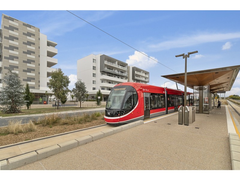 12/4 Sapling Street, Harrison ACT 2914