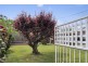 87 Macarthur Avenue, O’connor ACT 2602