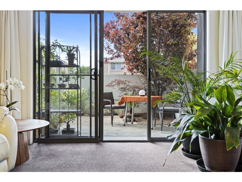 15/4 Sapling Street, Harrison ACT 2914