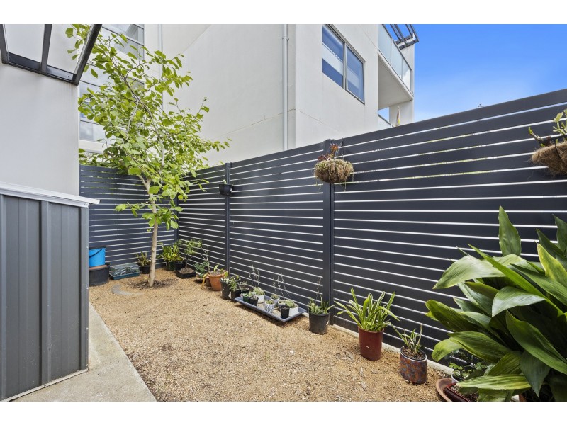 15/4 Sapling Street, Harrison ACT 2914