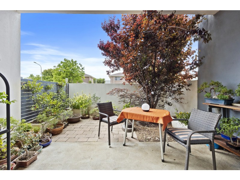 15/4 Sapling Street, Harrison ACT 2914