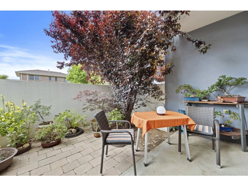 15/4 Sapling Street, Harrison ACT 2914