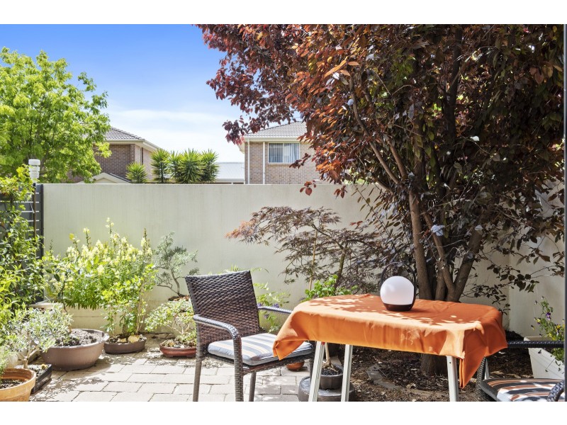 15/4 Sapling Street, Harrison ACT 2914