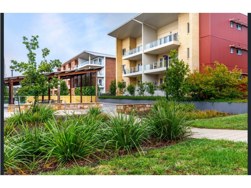 42/136 Thynne Street, Bruce ACT 2617