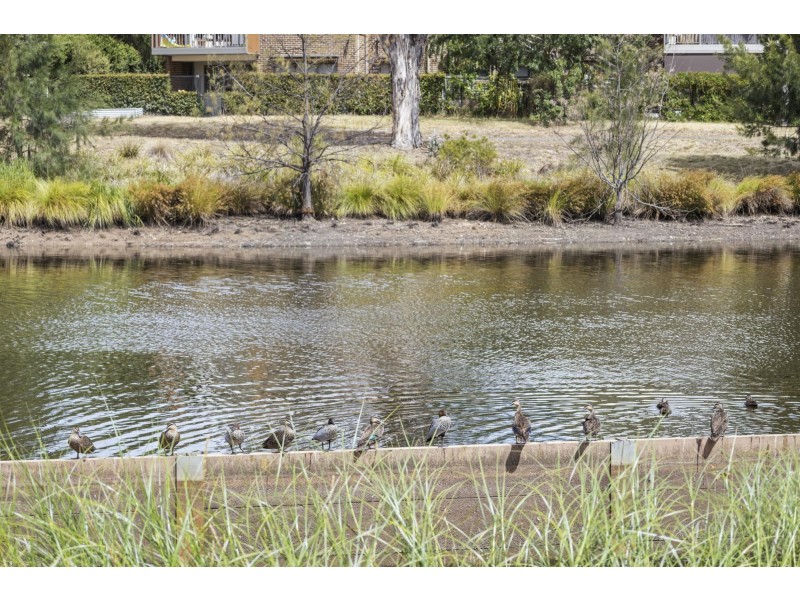 60/58 Wattle Street, Lyneham ACT 2602