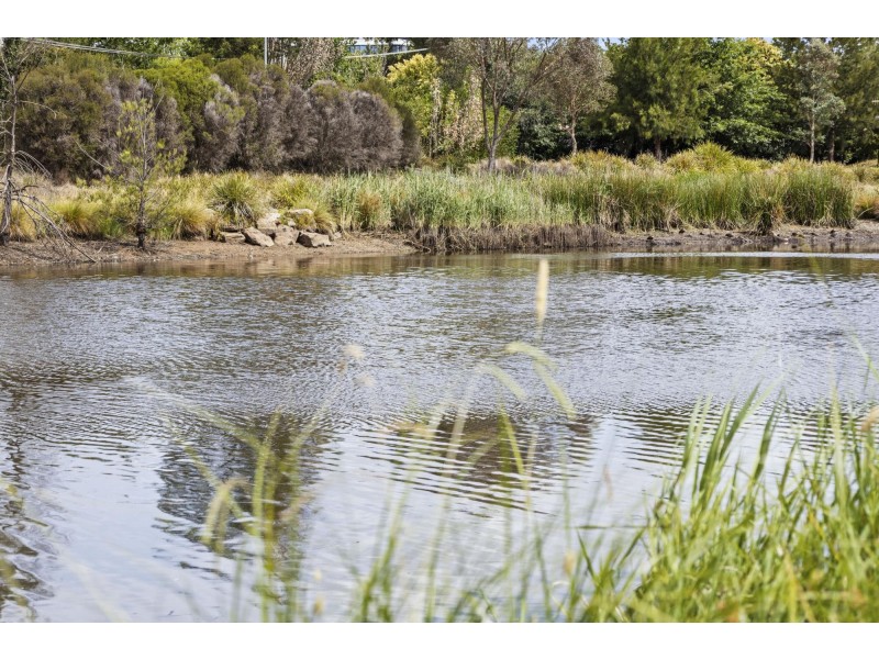 60/58 Wattle Street, Lyneham ACT 2602