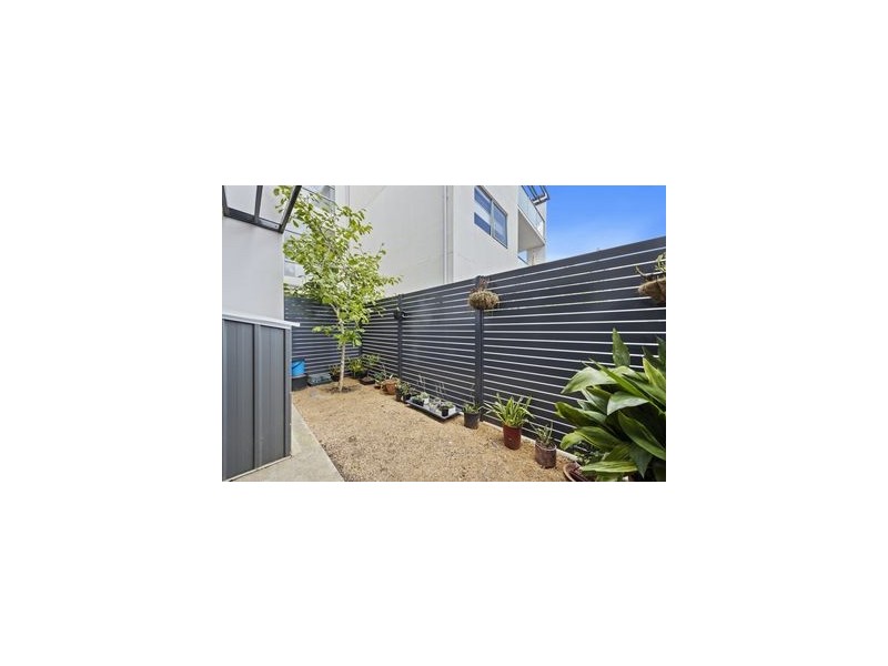 15/4 Sapling Street, Harrison ACT 2914