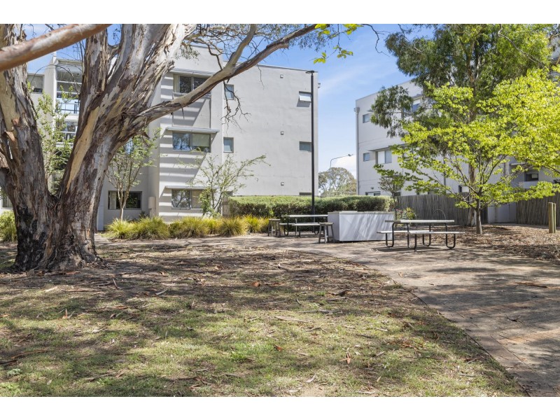 52/75 Elizabeth Jolley Crescent, Franklin ACT 2913