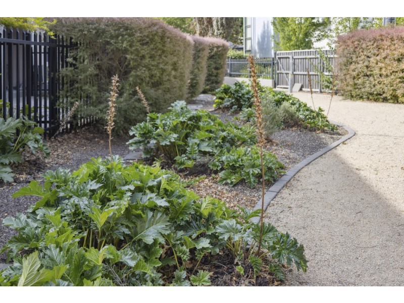 15/32 Stockdale Street, Dickson ACT 2602