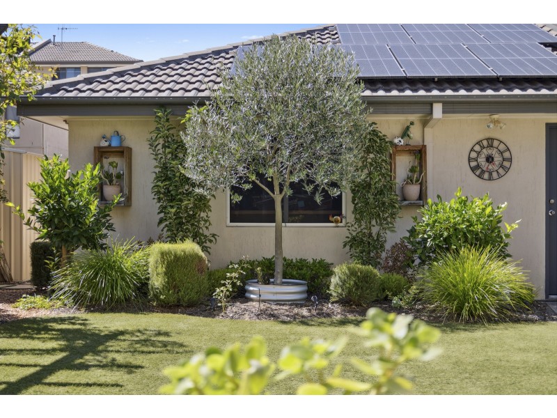 15 Braggett Street, Gungahlin ACT 2912