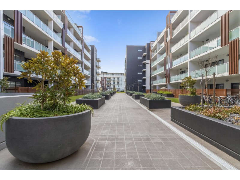 267/12 Limburg Way, Greenway ACT 2900