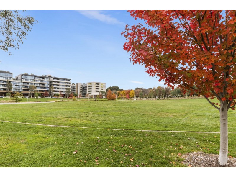 228/2 Anzac Park, Campbell ACT 2612