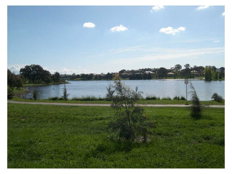 51 Frances Burke Street, Gungahlin ACT 2912