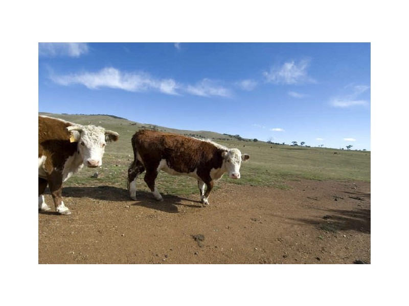 765 Spring Range Road, Hall ACT 2618