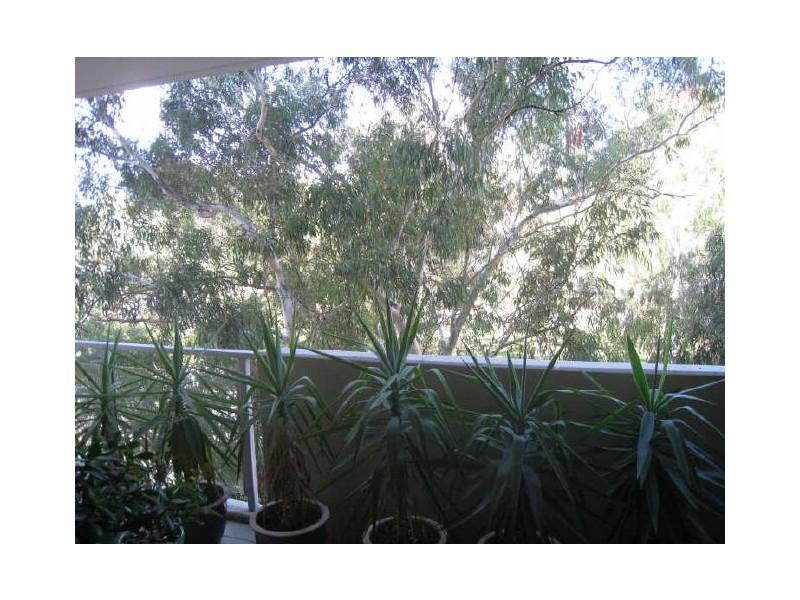 Unit 54 ‘Monarch’/219A Northbourne Avenue, Turner ACT 2612