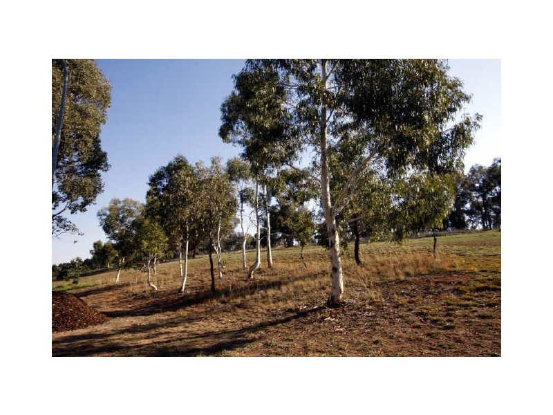 19 Fernyhough Crescent, Lyneham ACT 2602