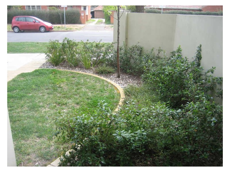 1/50 Moore Street, Turner ACT 2612