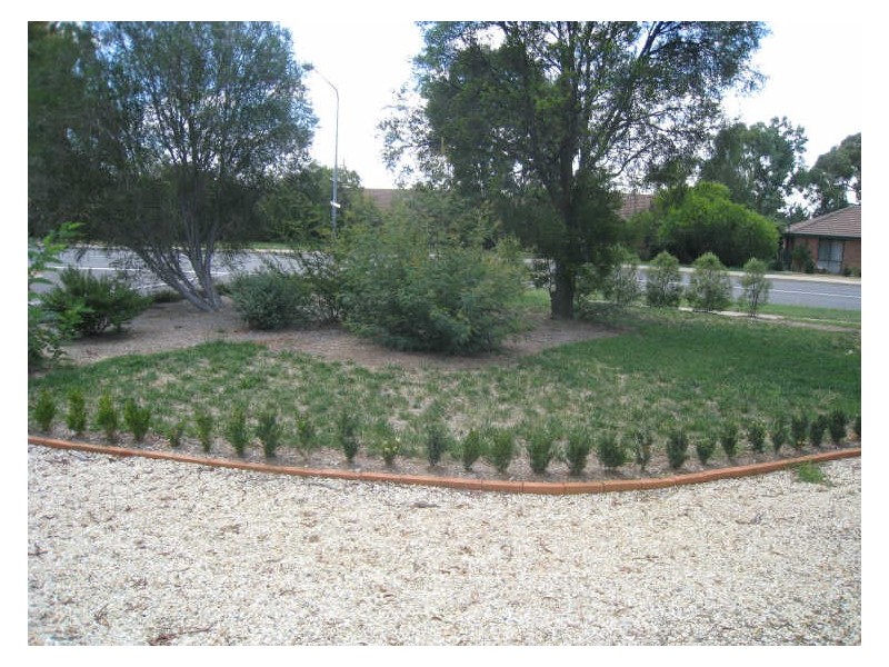 40 Shenton Street, Stirling ACT 2611