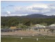 26 Phyllis Frost Street, Forde ACT 2914