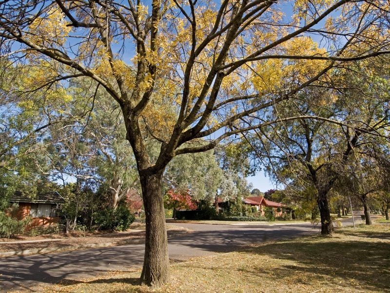 8 Swainsona Street, O’connor ACT 2602