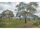 53 Combo Court, Harrison ACT 2914