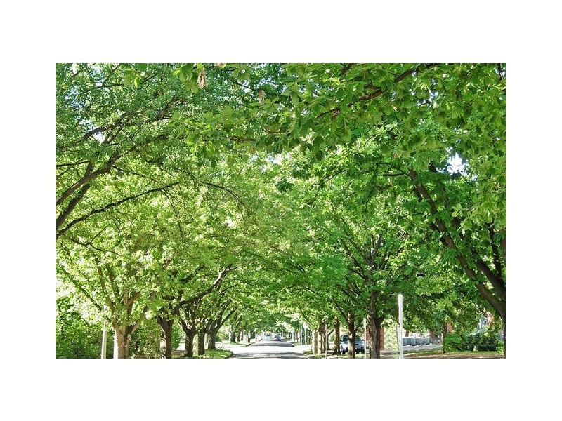 209 ‘Space 2′ 165 Northbourne Avenue, Turner ACT 2612