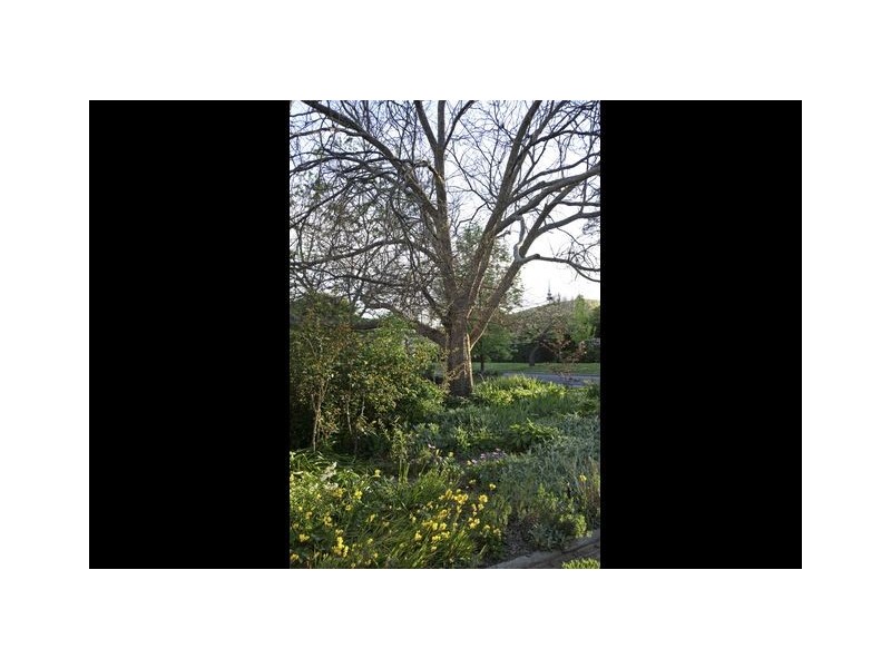 4 Finn Street, O’connor ACT 2602