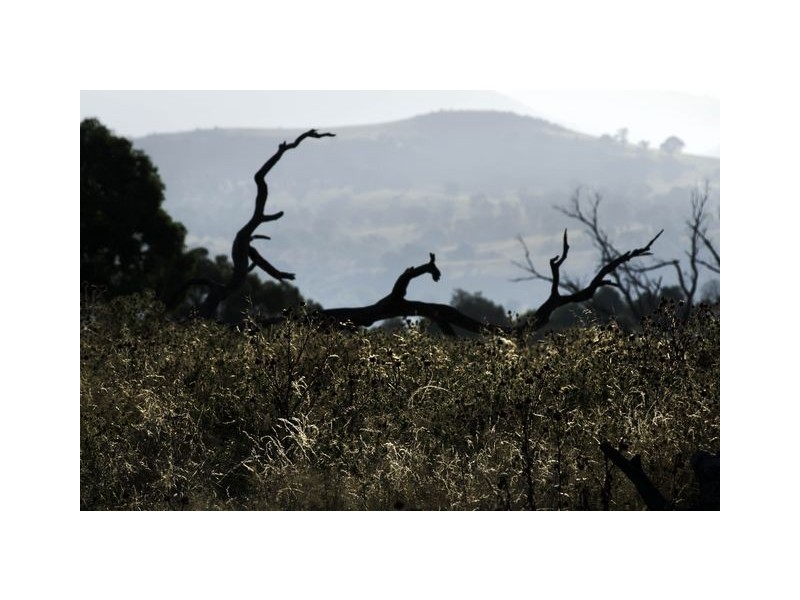 6 Charlton Crescent, Gordon ACT 2906