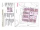 Block H Section AF, Forde ACT 2914