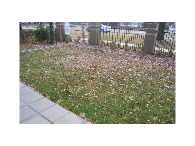 5/135 Limestone Avenue, Braddon ACT 2612