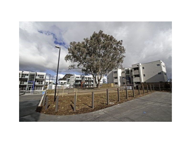 53 ‘Mosaic’/75 Elizabeth Jolley Crescent, Franklin ACT 2913