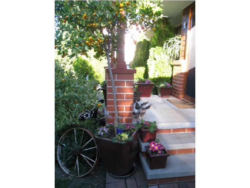 34 Dutton Street, Dickson ACT 2602