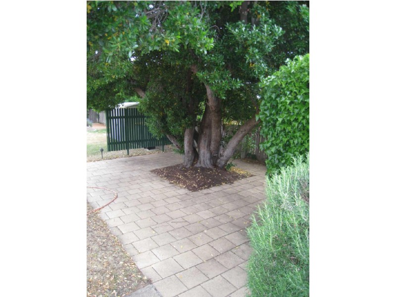 56 Tyson street, Ainslie ACT 2602